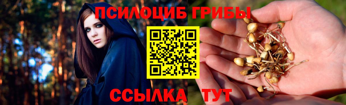 Псилоцибиновые грибы Magic Shrooms Кызыл