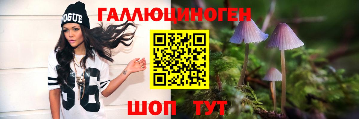 даркнет сайт  Галлюциногенные грибы прущие грибы  Вход с VPN  Кызыл 